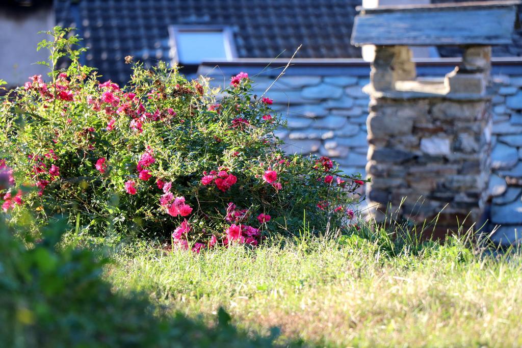 Guest house Del Castello Tirano